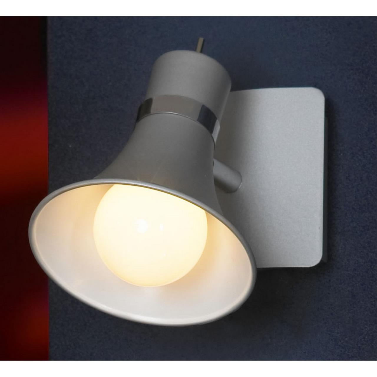 Настенно-потолочный светильник Lussole LSL-7201-01 S
