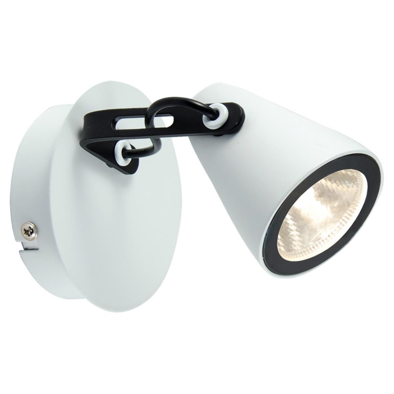 Настенно-потолочный светильник Lussole LSN-4101-01 S