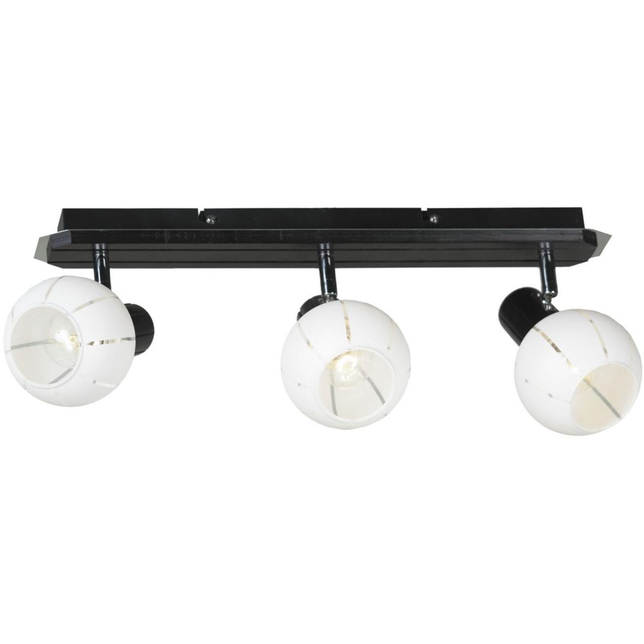 Настенно-потолочный светильник Lussole LSL-8901-03 S
